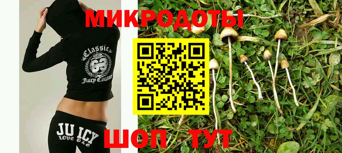 Галлюциногенные грибы MAGIC MUSHROOMS  Вход с VPN  Галлюциногенные грибы Magic Shrooms  Великий Устюг 